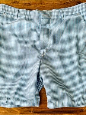 Source Unknown Light Blue & White Gingham Men’s Shorts 32 Waist